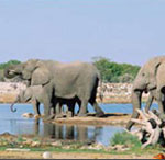 Goa Keralyeem Magic Tour Package
